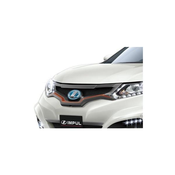 Cp GNXgC T32 tgO TypeA FRP h IMPUL