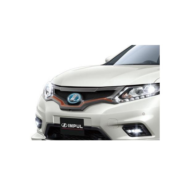 Cp GNXgC T32 tgO TypeB FRP h IMPUL