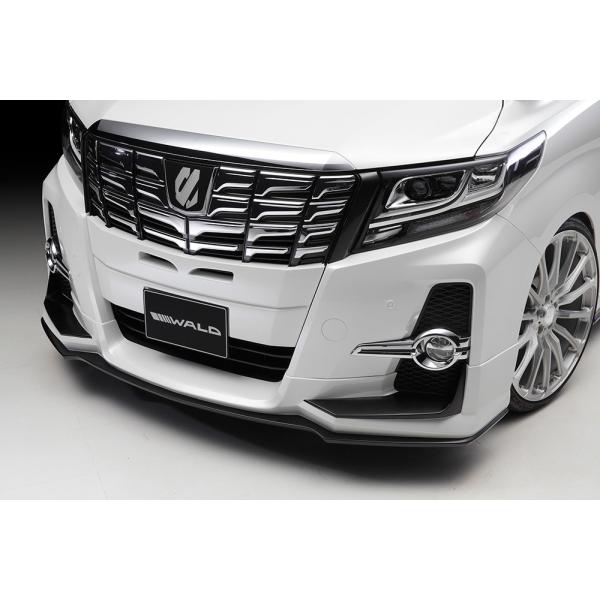 @h At@[h 30n(AGH/GGH3#W/AYH30W) tgn[tX|C[ FRP h WALD SPORTS LINE X|[cC