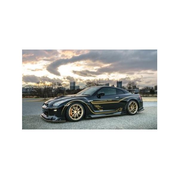 EF GT-R GTR R35  TChXebv FRP h 1N005J00 ROWEN WORLD PLATINUM [hv`i