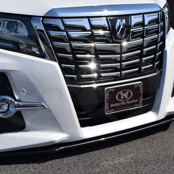 o^tCVXe At@[h 30n O tgtbvX|C[ FRP h Butterfly System GLANZ FLAP Oc tbv