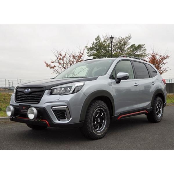 GtH[h tHX^[ SK I[o[tF_[ 10mmCh FRP/QR[gdグ h Elford