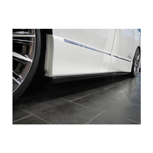 AxellautoANZI[g TChXebv Wet Carbon NAh GOh E52 nCEFCX^[