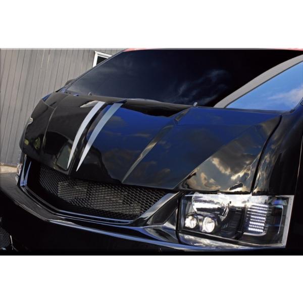 �n�C�G�[�X 200�n 4�^ �t�F�C�X�L�b�g ���h�� SAD�J�X�^���W���p�� S.A.D CUSTOM JAPAN STINGER �X�e�B���K�[