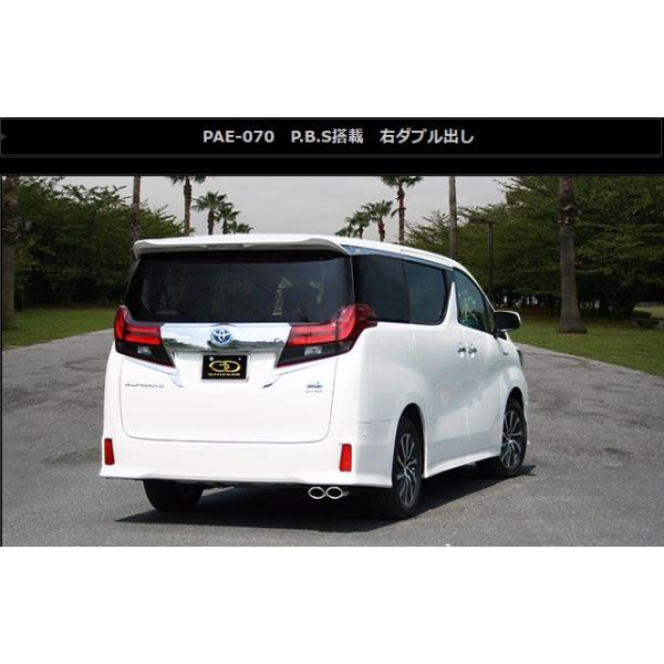 At@[h Ft@CA nCubh DAA-AYH30W }t[ PAE-070 GANADOR Kih[ PASION EVO