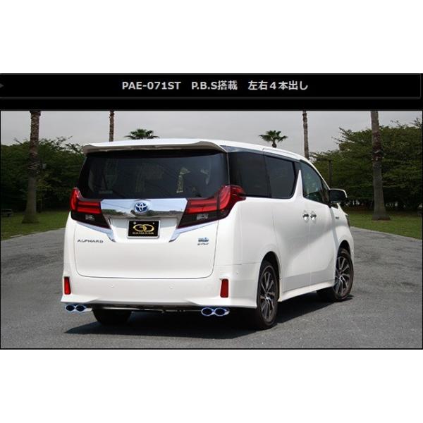 At@[h Ft@CA nCubh DAA-AYH30W }t[ PAE-071ST GANADOR Kih[ PASION EVO