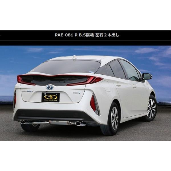 vEXPHV DLA-ZVW52 }t[ PAE-081 GANADOR Kih[ PASION EVO