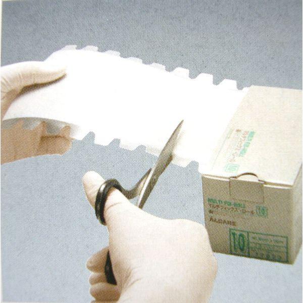 APA@}`tBbNX[@16.0cm×10m ×phtB