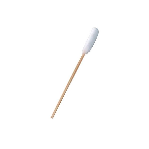 \@ opȖ_@21cm @ȃ15mm@21.5cmi؎,Жȁj50{