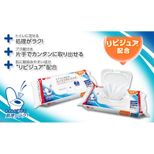 IITLfBJ@gCɗXbLӂ@18cm×20cm 80@72002