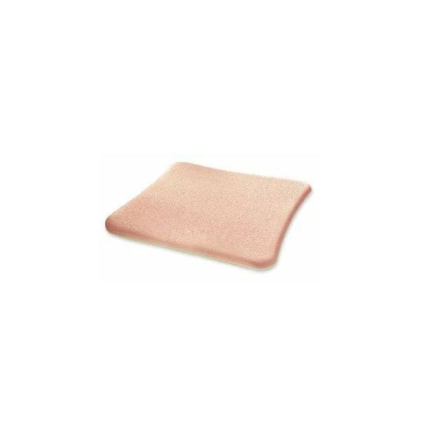 X~Xlt[@ nChTCgvX 10cmx10cm 3n핢,ی 66800687@e|E^tH[hbVO