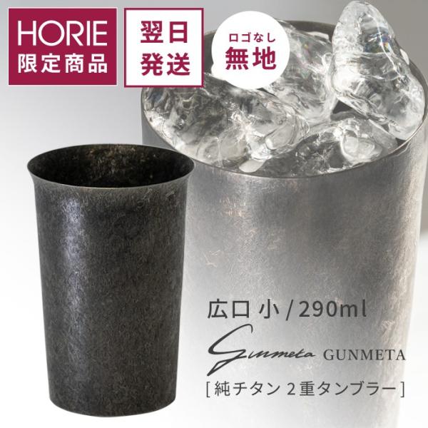 horie-titanium_t-13-gm300