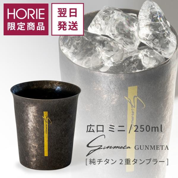 ギフト チタンタンブラー HORIE公式ショップ 250ml GUNMETA ガンメタ 