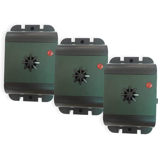 バリエーションコード : 2B2XNVLCX5