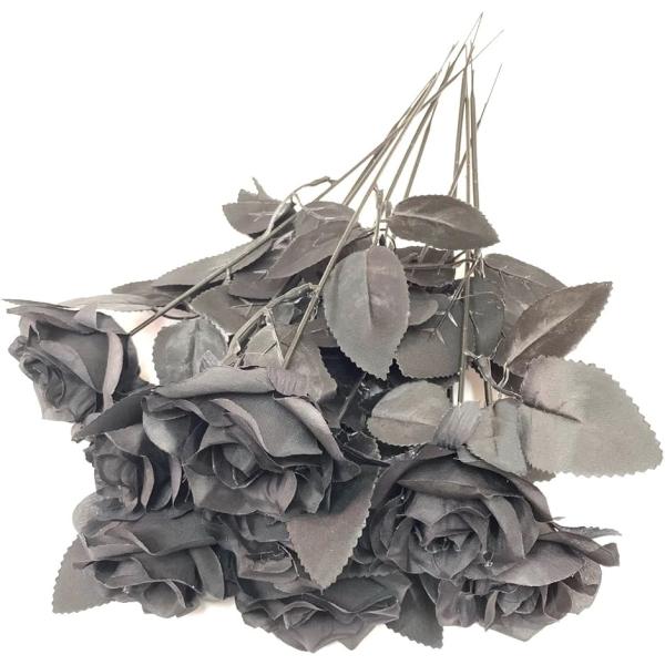 バリエーションコード : 2B4OIQ3QS5