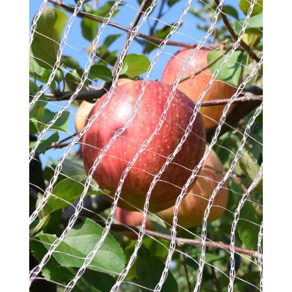 ・鳥や獣からしっかりガード：大事な植物の保護や野鳥の糞害対策にクリアカラーで目立たない防鳥獣ネットです。・網目は15mm x 18 mmと細かいので小鳥すら侵入できませんし、網目の一方向は、螺旋状に編み込まれているので食い破ることも難しい構...