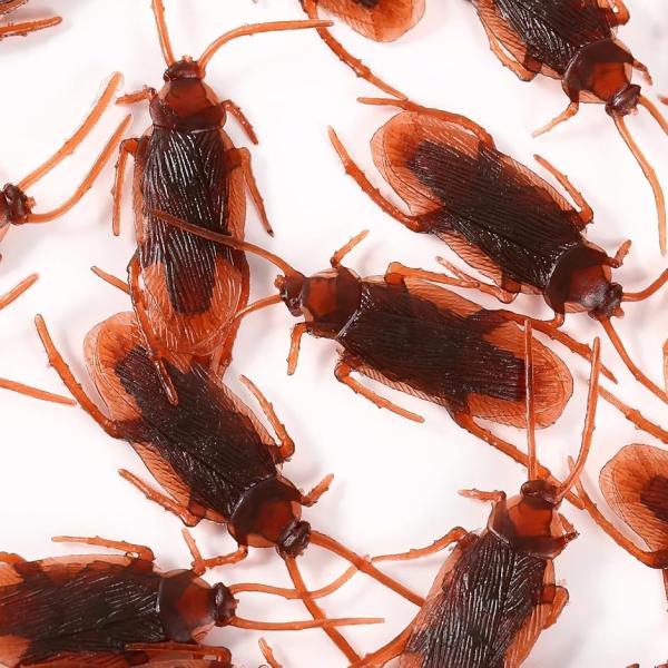 おもちゃ おもちゃ ゴキブリ おもちゃの人気商品 通販 価格比較 価格 Com