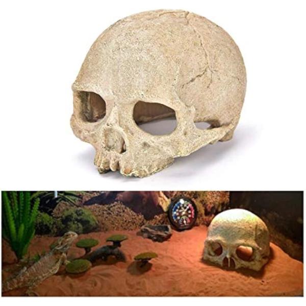 ・スカルの爬虫類の隠れ家です。ケージに設置するだけでシェルターになり、独自の世界観を演出したい方にはピッタリのオブジェです。穴が空いていて程よく光が入り、出入りもしやすく爬虫類の生活に欠かせない、実用的なデザインです。・本格的な見た目と質感...