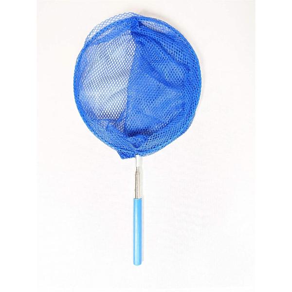 虫取り網 飼育ボックス セット 虫取りアミ 正規認証品 新規格 伸縮式 虫とり 親子 昆虫 子供 むしとり 虫かご ブルー