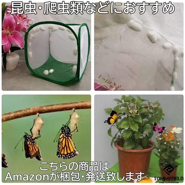 お買得 飼育ケース 昆虫ケース 虫かご 虫箱 クリア 爬虫類 大 飼育ネット ケージ 透明 スクエア 1個 国際ブランド