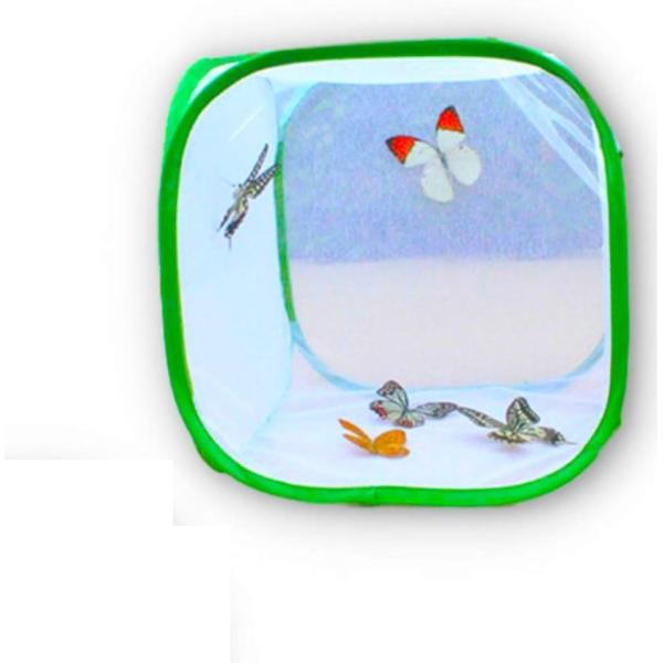 虫かご 大の人気商品 通販 価格比較 価格 Com