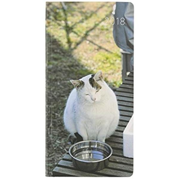 手帳 18 Weeks Spring やさしいねこ ぽー 4月始まり ウィークリー T18p B6変形 Buyee Buyee 提供一站式最全面最专业现地yahoo Japan拍卖代bid代拍代购服务 Bot Online