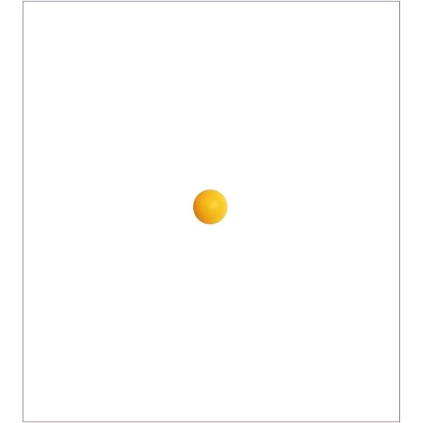 オレンジ ピンポン玉 ボール 卓球の人気商品・通販・価格比較 - 価格.com