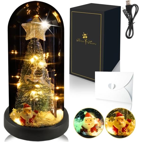 バリエーションコード : 2BJUQK2SVS「ForeverFlowers/永遠に光る花」高輝度LEDストリングライト・高透過アクリル・高品質プラスチックを採用し、安全性・耐久性・輝きのバランスを追求しました。USB対応オリジナルモデルを...