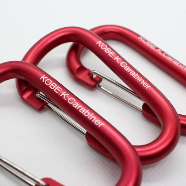 バリエーションコード : 2B9G8QYCTT商品仕様（スペック） 入個数：3個入り サイズ：約7.5cm x 4.5cm 厚み：約6mm 重量：約18g 材質：高品質アルミ合金 仕上げ：耐久性のある塗装 形状：D型デザイン ゲートタイプ：...