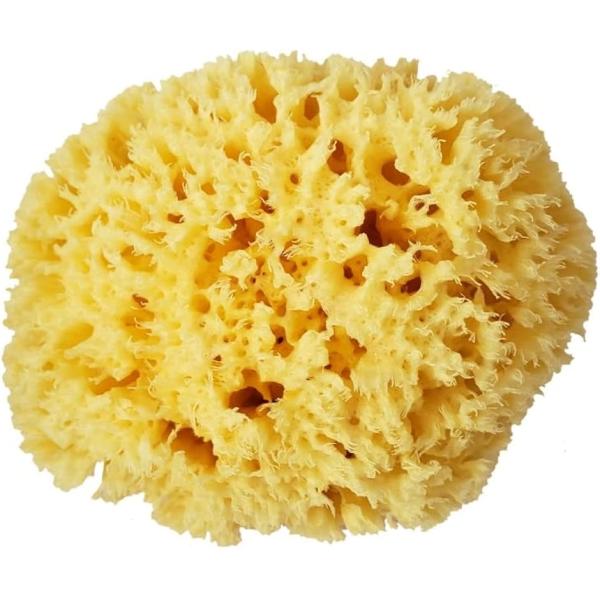 絹のような泡立ちの天然海綿スポンジ..地中海でとれた最高級の海綿。天然海綿は人の肌と同じアミノ酸が主成分なので、肌荒れやトラブル肌、敏感肌や赤ちゃんのお肌にもおすすめです。最高級品のハニコム種。イタリアベリーニ社製最高級品とされる天然海綿で...