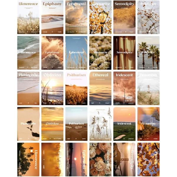 バリエーションコード : 2BJ0DLYD03「お部屋に欠かせない」写真を中心に、可愛いものだけをセレクトした便利なポストカード 25枚セット。お部屋の印象を変えてくれるデザインフルなものばかりで、簡単に貼るだけでとても役に立ちます。＊こち...