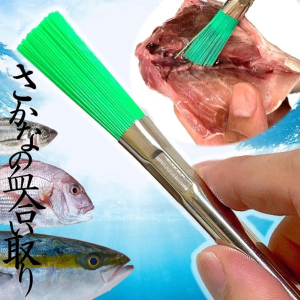 「樹脂製ささらブラシ」魚の血合い取りの最強アイテム登場。「商品機能」(1)硬質多毛：強いコシでラクラク血合いを一網打尽。「商品機能」(2)手軽自在：ペンを持つような感覚で気軽に扱える。これ１本でどんな魚にも対応できます。「商品機能」(3)簡...