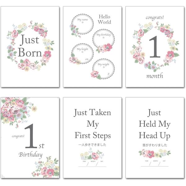 バリエーションコード : 2BJGGFG0NI月齢フォトカード12枚セット。両面に印刷されているので合計24種類使えます。月齢カードが1month〜11monthsまでの11種類、 成長に合わせて使用できる「できた」カードが6種類、 毎月以...