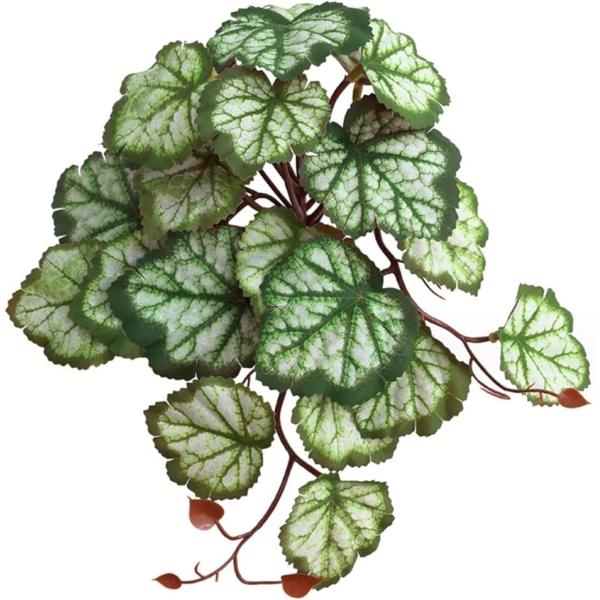 バリエーションコード : 2BJD1L063I・ペットの水槽を熱帯雨林のような雰囲気に変える、吸盤付き人工植物です。・亀、イグアナ、トカゲ、ヤモリ、カエル、ヘビ、カメレオン、ヤドカリなどの飼育環境に適しています。・吸盤が付いているので、飼育...