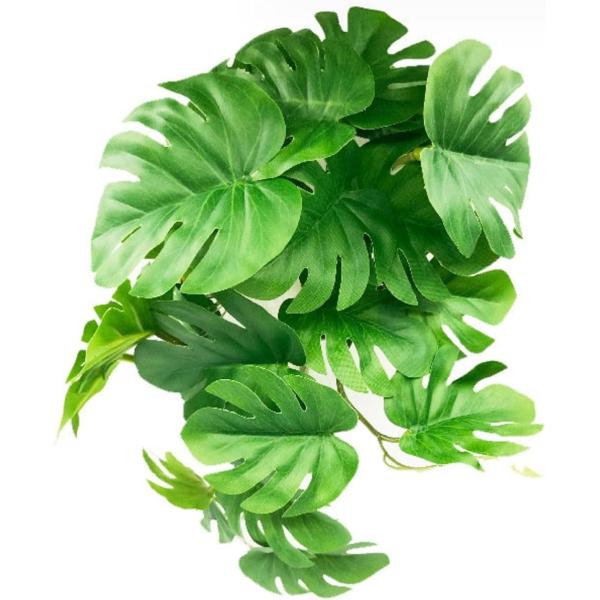 バリエーションコード : 2BJD1L063I・ペットの水槽を熱帯雨林のような雰囲気に変える、吸盤付き人工植物です。・亀、イグアナ、トカゲ、ヤモリ、カエル、ヘビ、カメレオン、ヤドカリなどの飼育環境に適しています。・吸盤が付いているので、飼育...