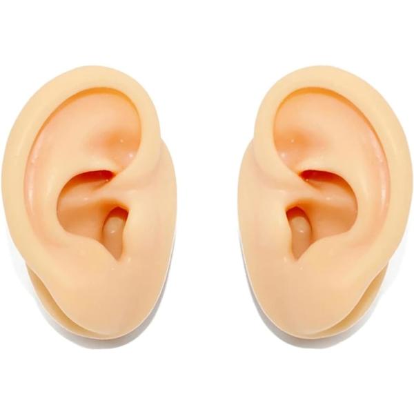 人間の耳をモチーフとしたシリコン製の耳の模型です。サイズ、形状、柔らかさなど人間の耳に近づけた模型です。ピアスなどのアクセサリーの装飾イメージの確認や、アクセサリーのディスプレイにご使用いただけます。実物の耳に近い模型のため、穿孔、マッサー...