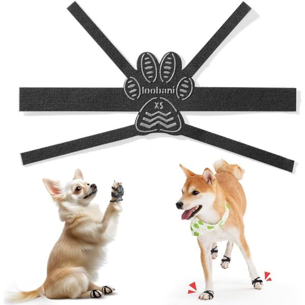 バリエーションコード : 2BJXPKDVPN「犬の必需品」肉球の大切さ。犬の肉球の表面は、小さな円錐状突起の集まクでできています。これが蹴って走る時に重要です。但し、怪我をすると皮膚の再生能力が低く、治リにくい箇所です。表皮の硬い部分は血...