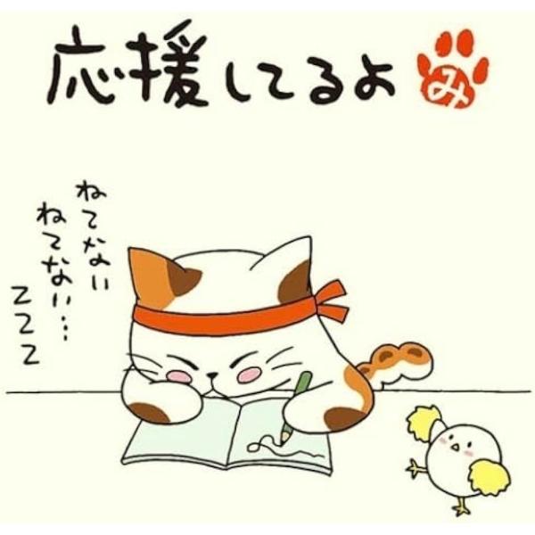 ・みたらしちゃん 一煎用宇治煎茶ティーバッグ/ラッピング付きセット( 応援してるよ, 5個セット)