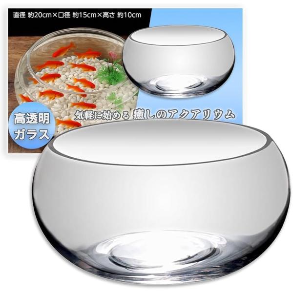 金魚鉢 ガラス 丸型 20cm 透明 水槽 小型 観賞魚 ベタ メダカ 卓上 (クリア,  直径約20cm、口径約15cm、高さ約10c)