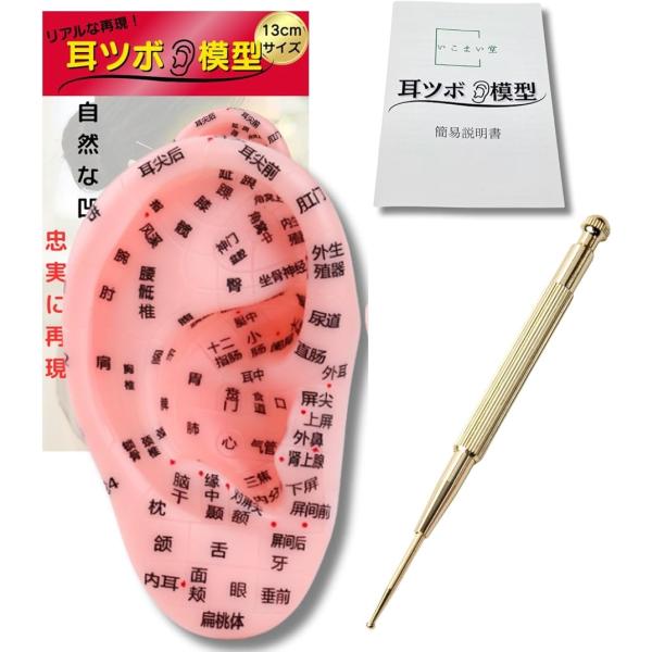 耳 模型 耳ツボ 耳つぼジュエリー 3点セット スティック 耳つぼシール