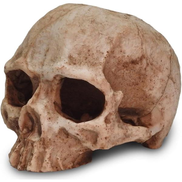 バリエーションコード : 2BUV5F4CVUテラリウムを彩る爬虫類用品スカル（ドクロ）のおしゃれな隠れ家シェルター。 テラリウムや水槽やケージに、ユニークなアクセントを加えてみませんか？このリアルなドクロ（骸骨）のオブジェは、トカゲなどの...