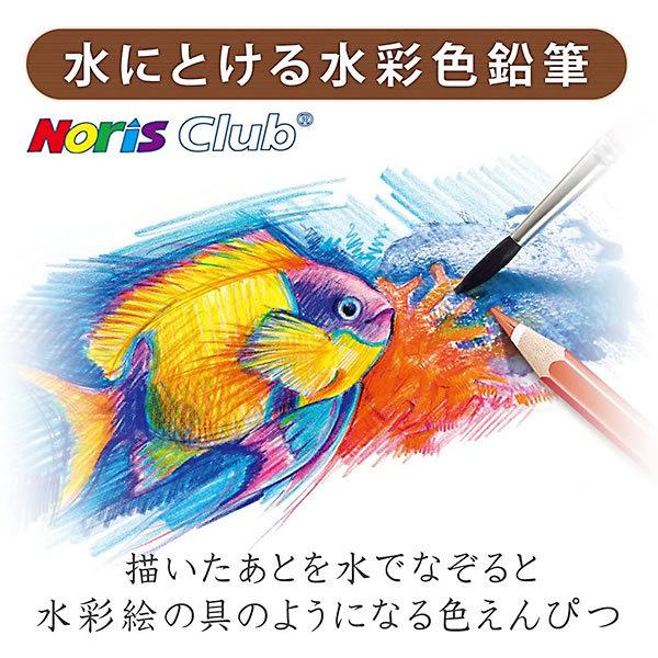 ステッドラー 水彩色えんぴつ 24色 nc24p 水をふくませた筆でなぞると水彩画のような仕上がりに Staedtler nc24p 堀萬昭堂 ヤフー店 通販 Yahoo ショッピング
