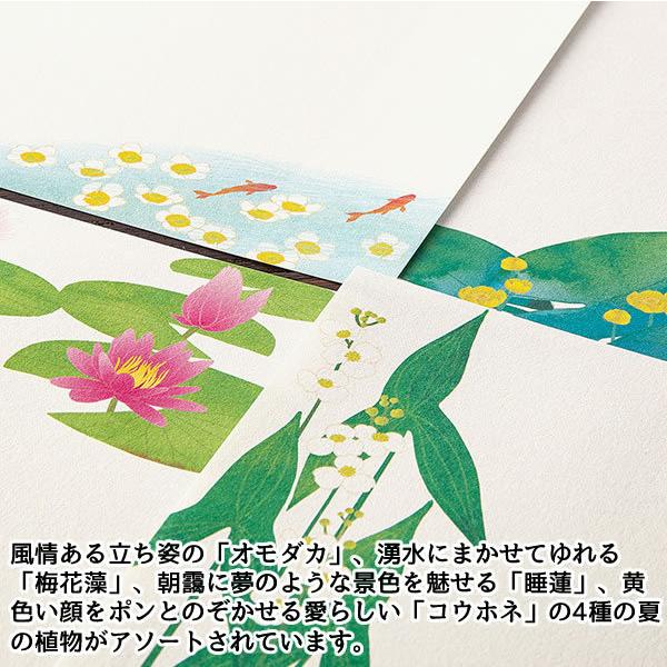 レターセット 夏柄 水辺の花柄 4柄 14 便箋16枚 4柄 封筒8枚 4柄 オモダカ 梅花藻 睡蓮 コウホネ 紙 シリーズ 堀萬昭堂 ヤフー店 通販 Yahoo ショッピング