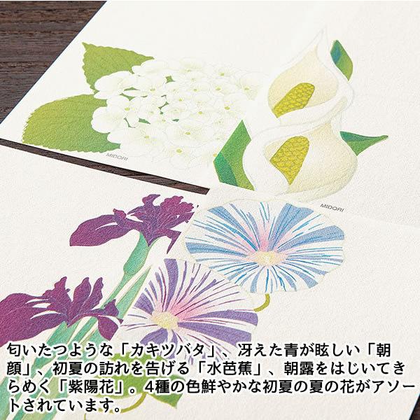 一筆箋 夏柄 初夏の花柄 青 4柄 532 11 一筆箋16枚 4柄 カキツバタ 朝顔 水芭蕉 紫陽花 紙 シリーズ 越前和紙 ミドリ 532 堀萬昭堂 ヤフー店 通販 Yahoo ショッピング