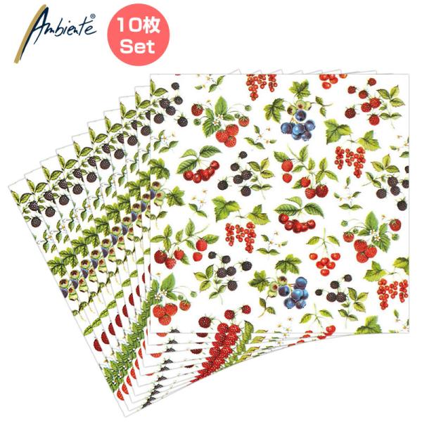 ドイツ語で「雰囲気」という意味を持つ「Ambiente（アンビエンテ）」の ペーパータオル。かわいらしい花柄のデザインが多く枚敷くだけで明るく・華やかな雰囲気に演出してくれます。◇パッケージサイズ：H175×W170×D10mm（四つ折り状...