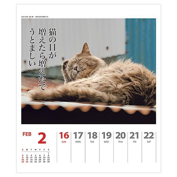 カレンダー 卓上 猫川柳 006 週めくり 新品 送料無料 アートプリントジャパン