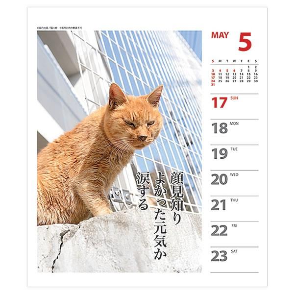 カレンダー 卓上 猫川柳 006 週めくり 新品 送料無料 アートプリントジャパン