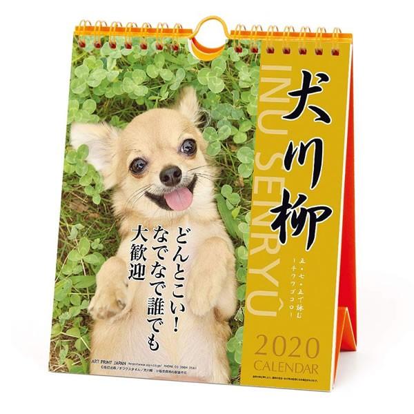 カレンダー 卓上 チワワ川柳 週めくり 008 アートプリントジャパン Firststeplandscaping Com