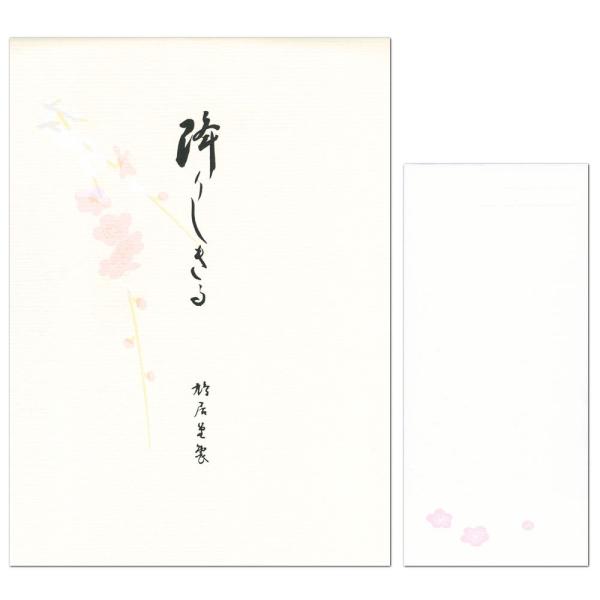  VN背^[Zbg ~肵 12i2jƕ5Zbg