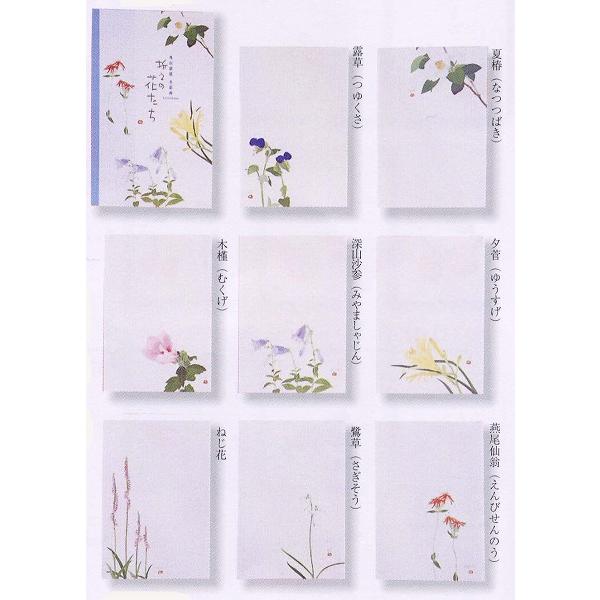外山康雄 画 折々の花たちはがきセット 第五集（夏） 30-528